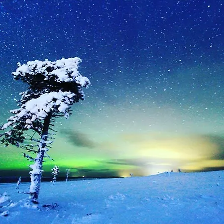 شاليه Arctic Log Cabin ساريسيلكا