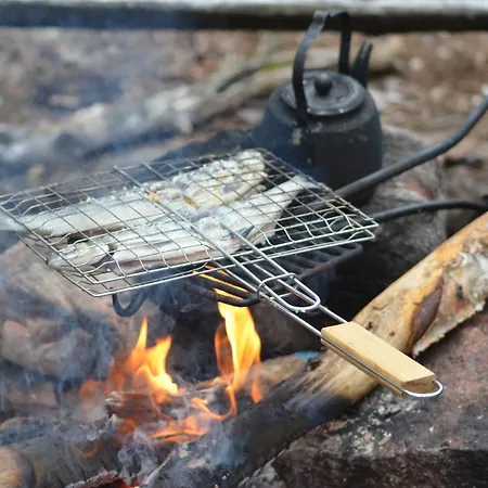 Arctic Log Cabin شاليه