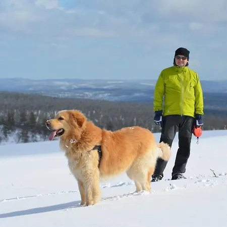 شاليه Arctic Log Cabin ساريسيلكا